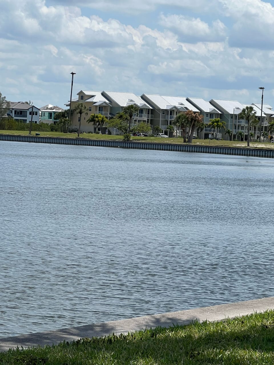 Cabbage creek Seawall watch Dolphins 🎣, pool 🏊‍♀️ Grills , picnic table food 🍱 