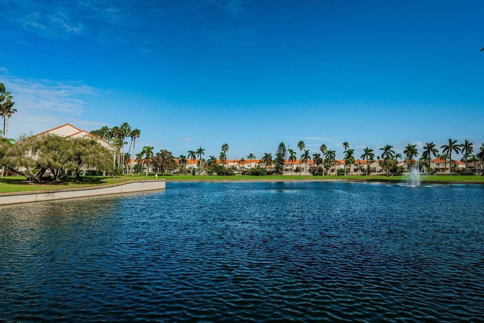 View from Patio