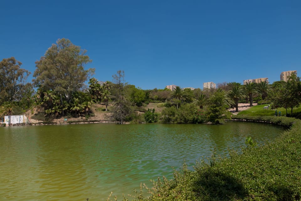 Paloma Park