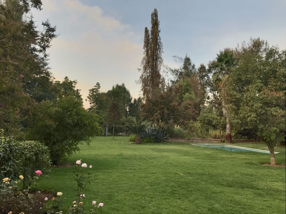Mature landscape