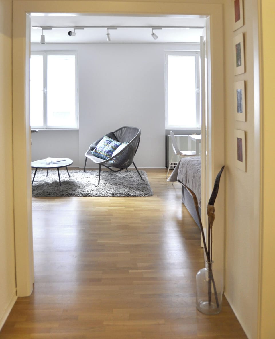 view from the hallway to the living-dining-bed-room