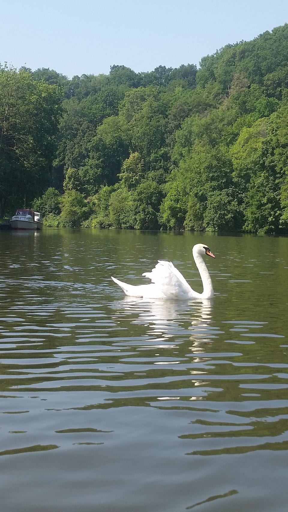 Lake