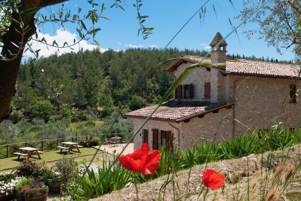 Agriturismo Molino Verde, apartments with swimming pool