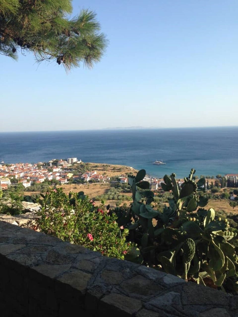 View from property