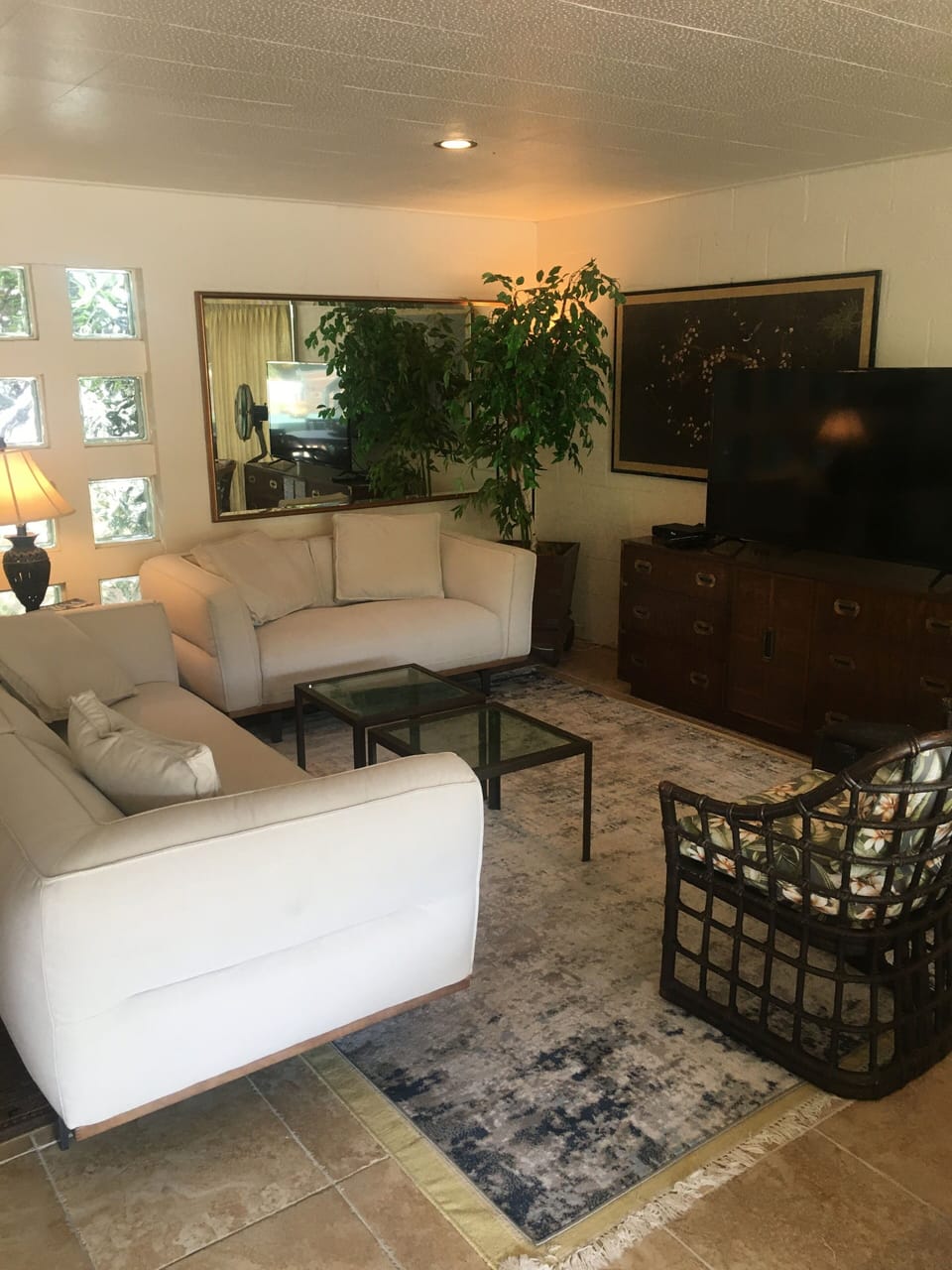TV viewing area