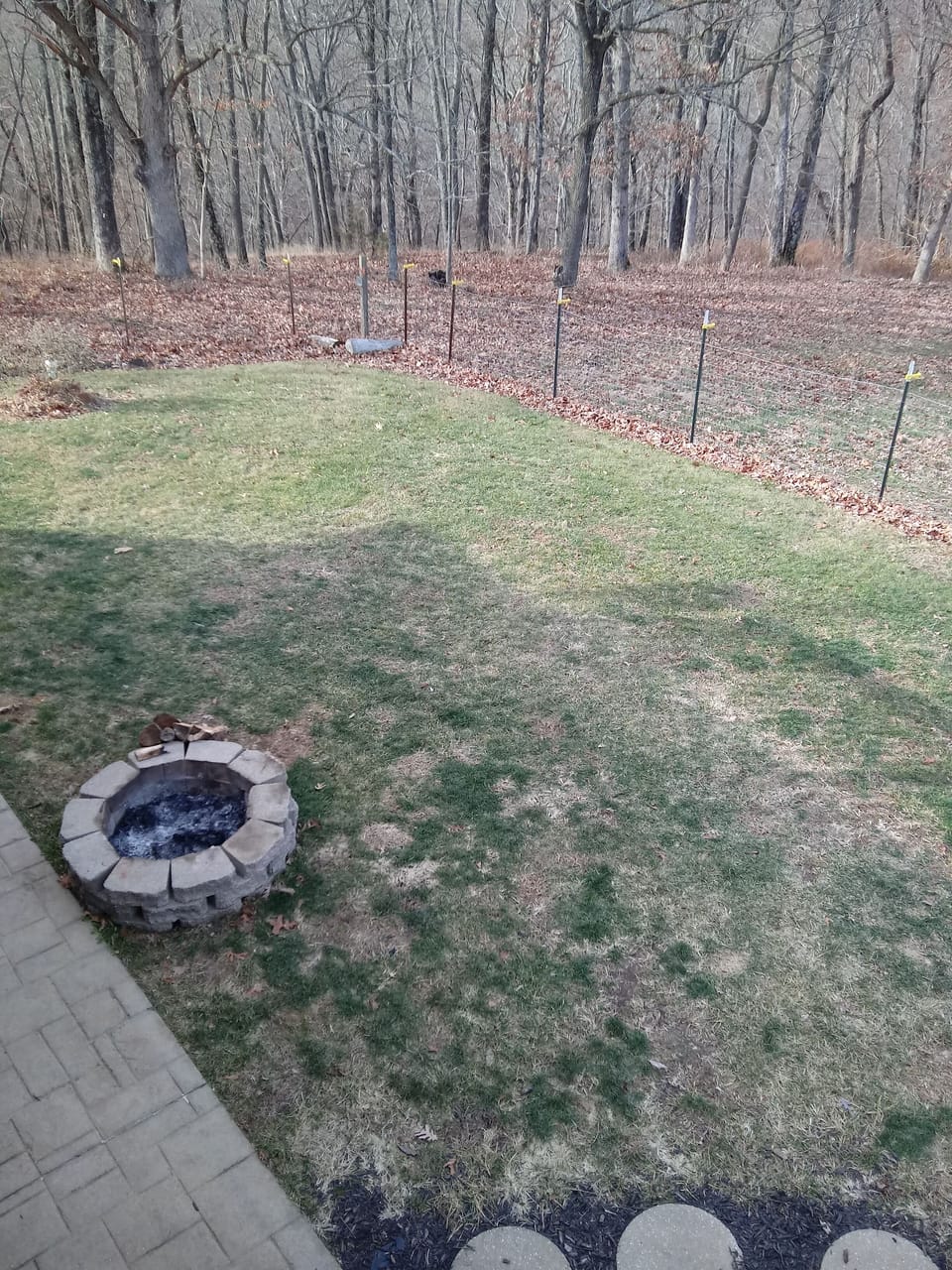 Outdoor firepit, marshmallow sticks provided for roasting marshmallows, etc. 