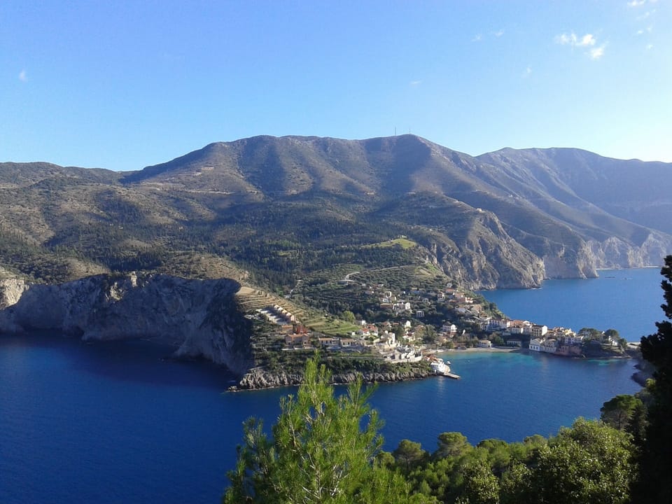 Assos