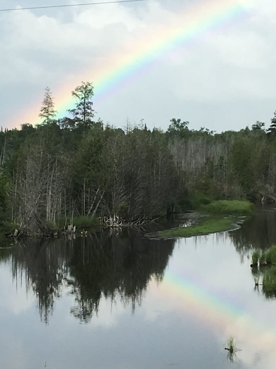 Our Back trails have exquisite views!