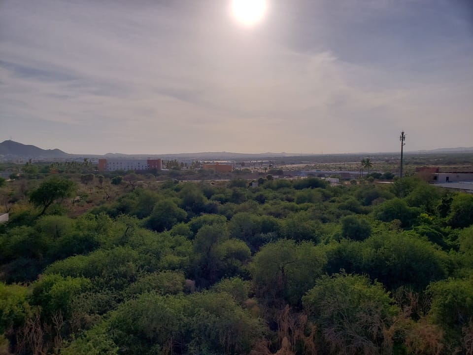 One view from unit