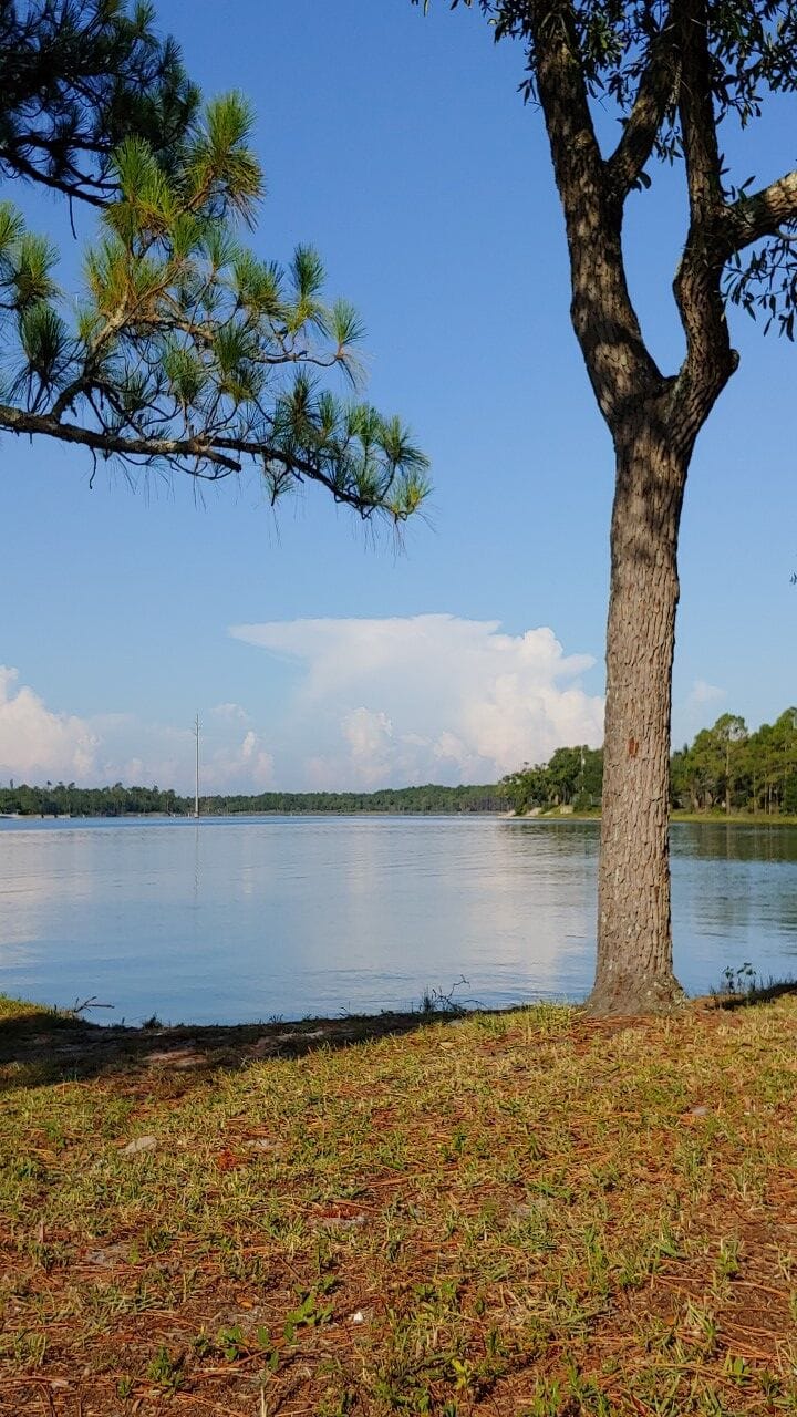 Beautiful scenic pathway steps from the backdoor