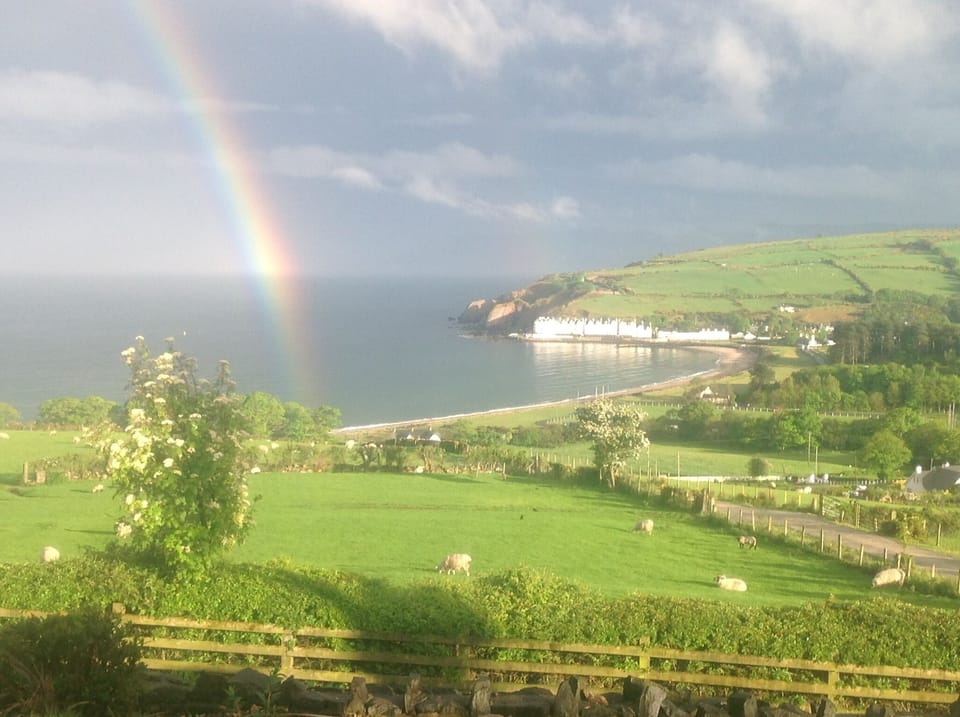 Views from Beachview cottage 