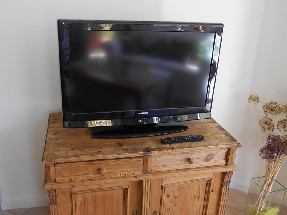 Television