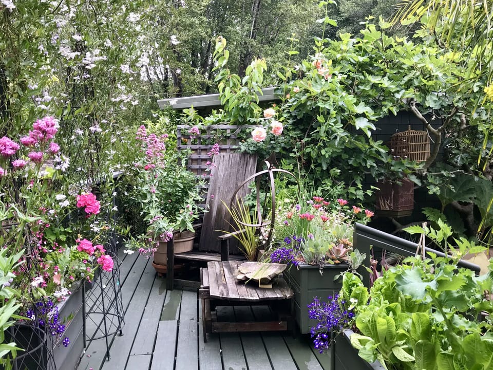 Garden catwalk