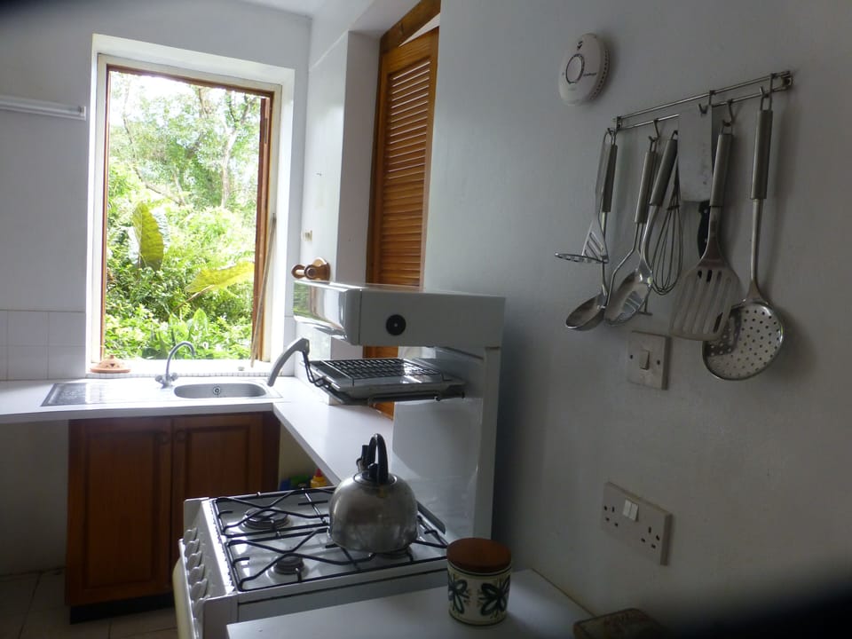 Downstairs kitchen