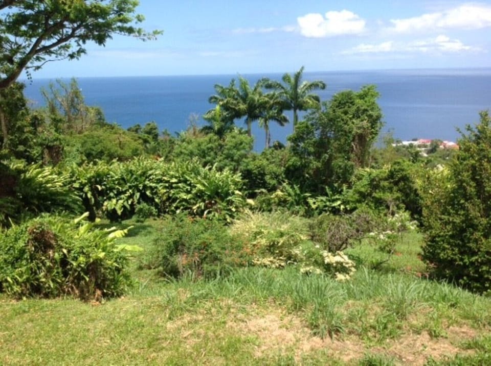 view from veranda