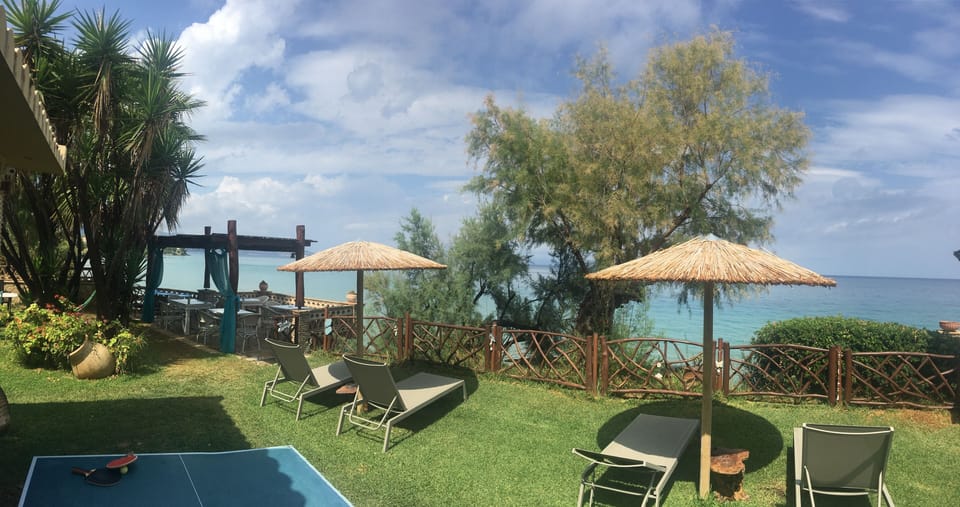 Our beach front gardens 