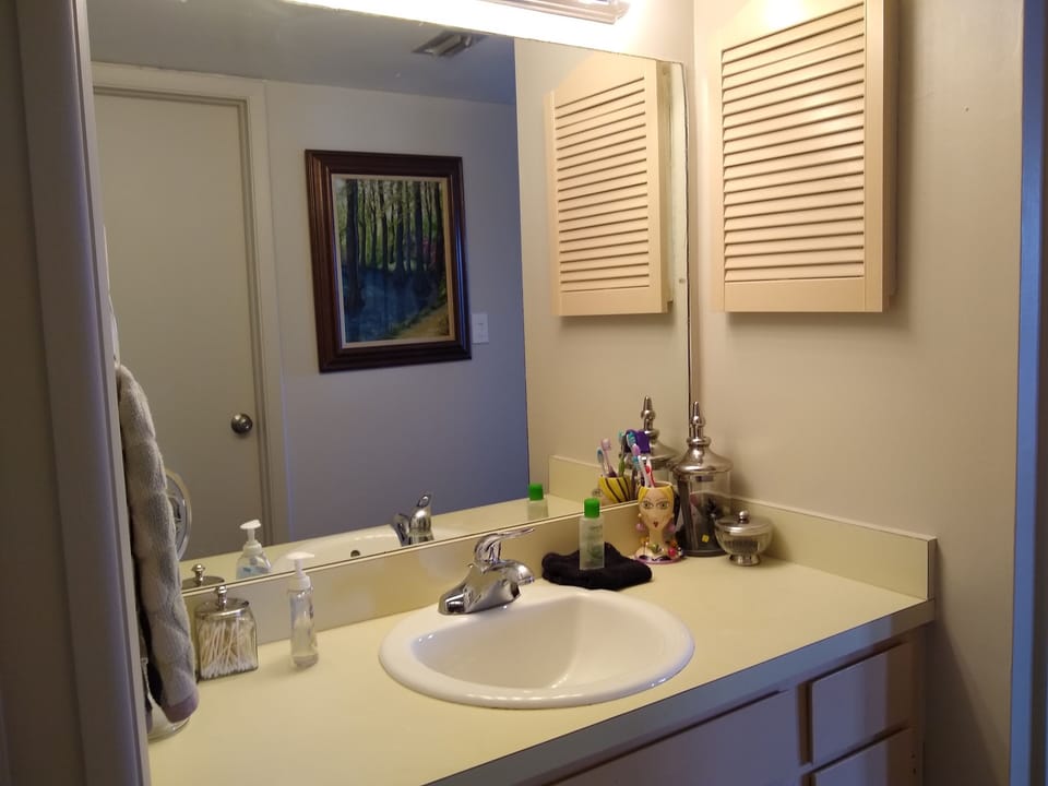 Master Bedroom en-suite