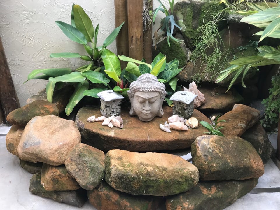 Jardim