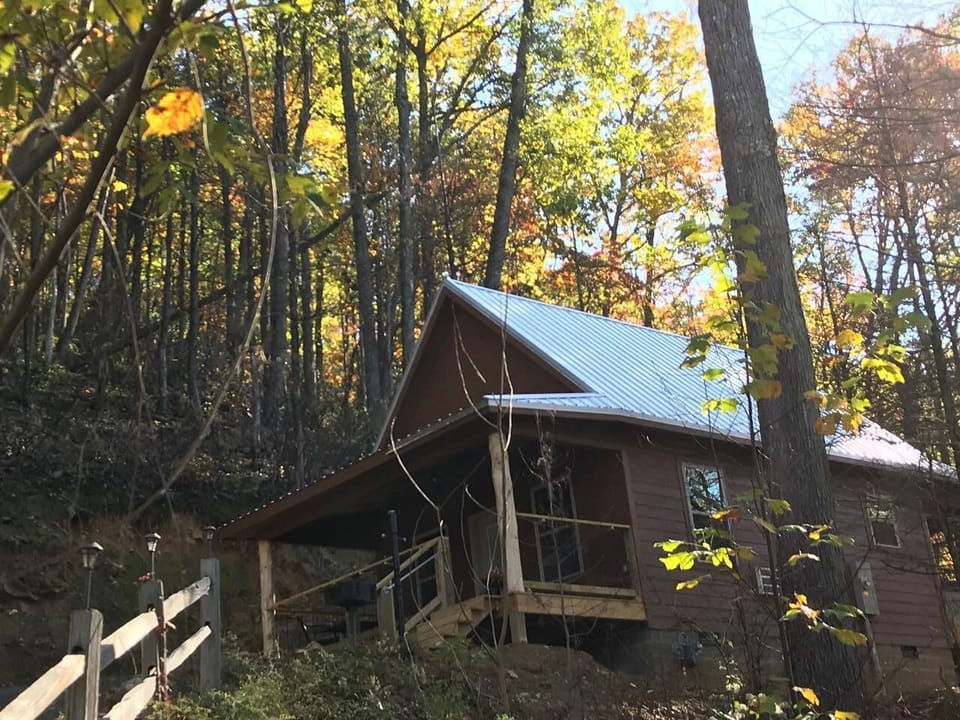Fall colors around the cabin 