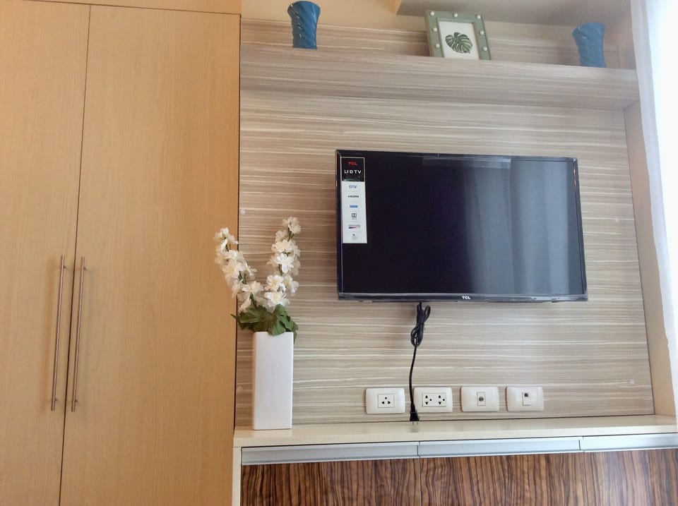 Television