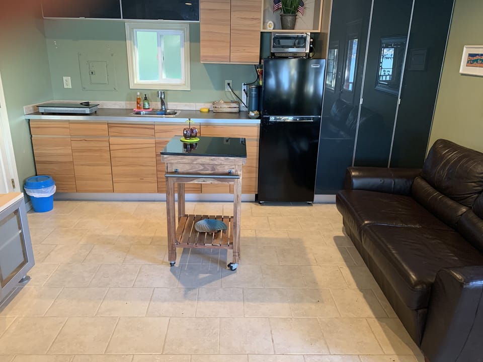 Kitchen and a rolling island. Couch (which is the pull out bed as well)