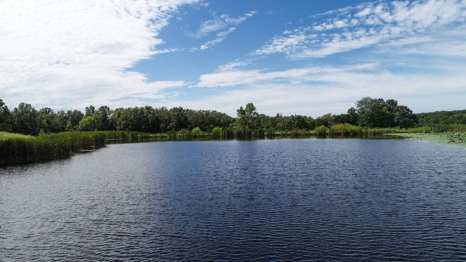Like to fish ? 