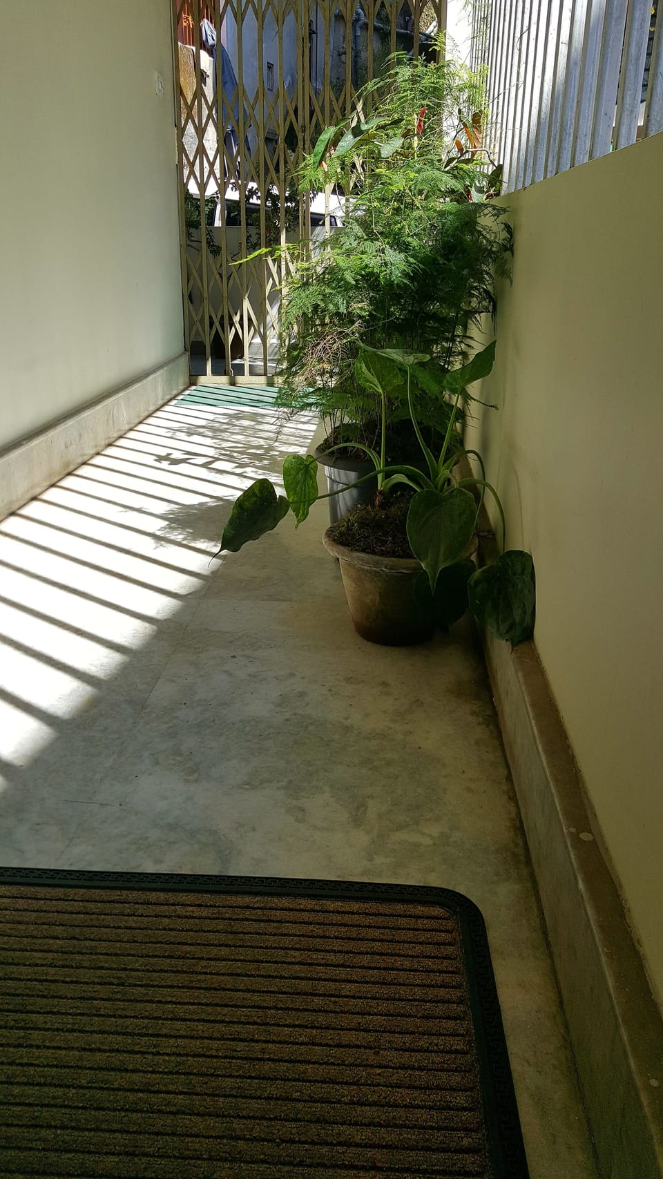 Property grounds