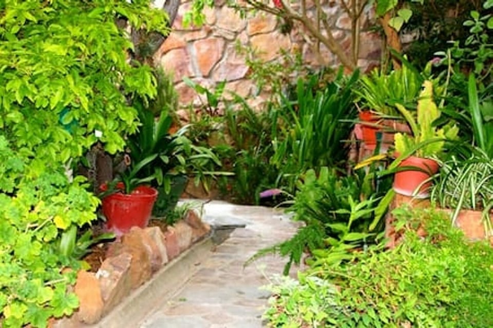 The path to the cottage is well lit at night