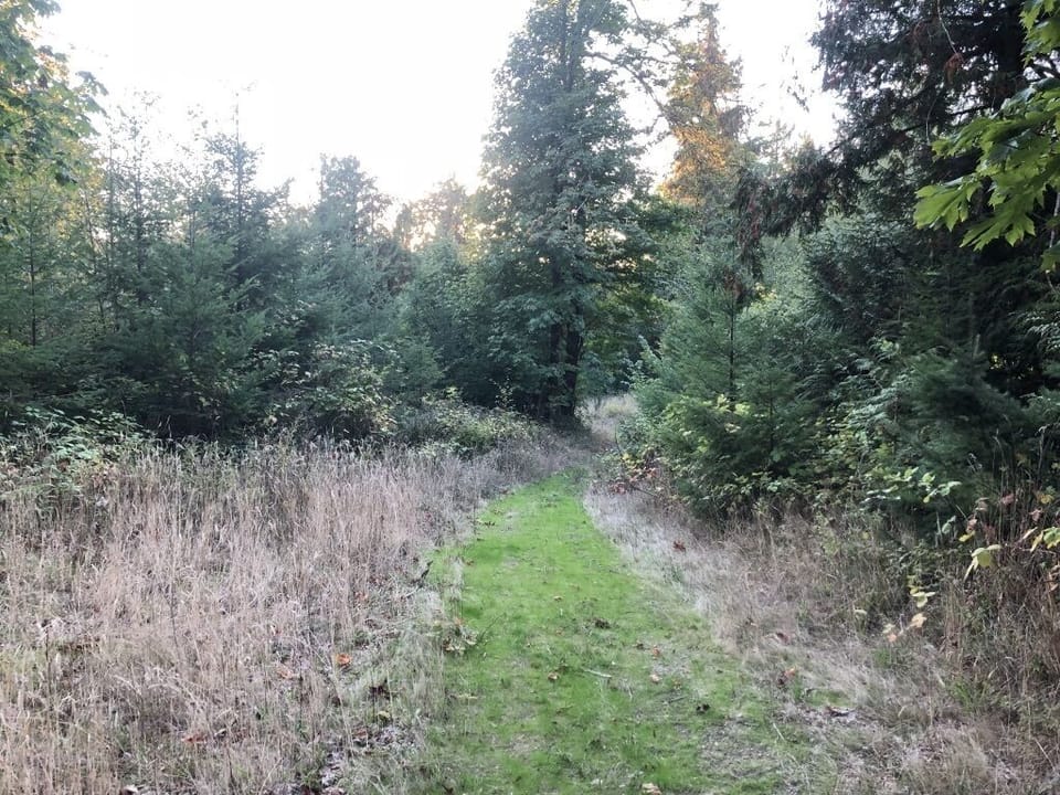 Trail at upper corner of property. Undeveloped properties surround the Getaway.