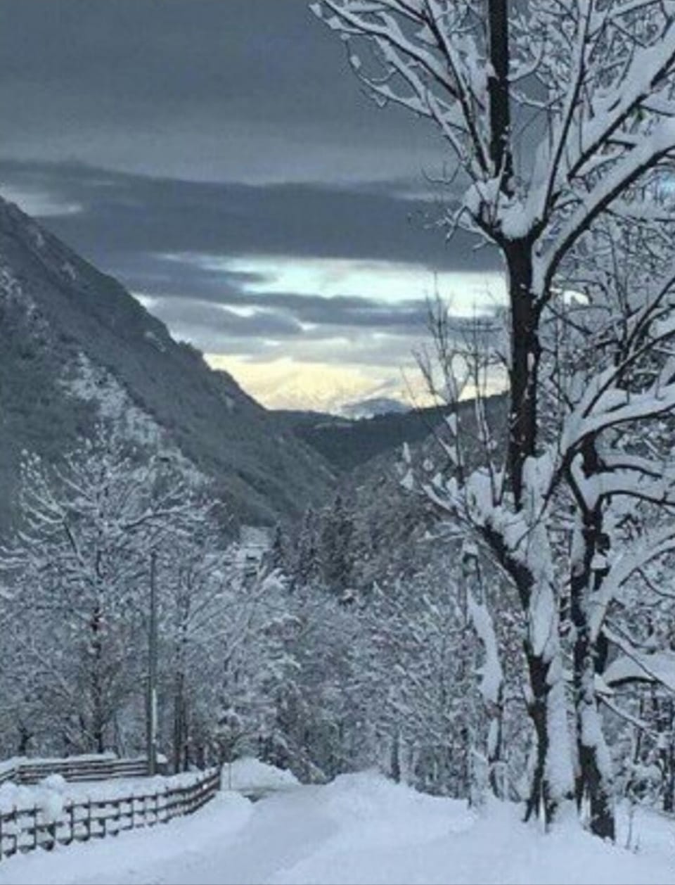 Snow and ski sports