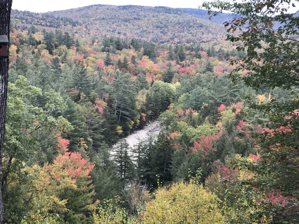 View from back patio