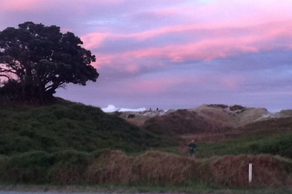 Evening at Medlands