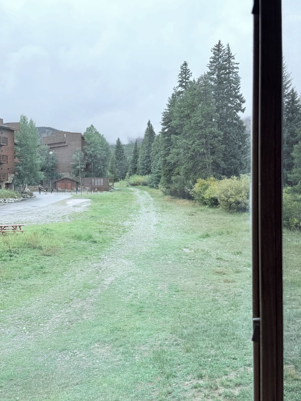 View out the living room up 4'Oclock ski run