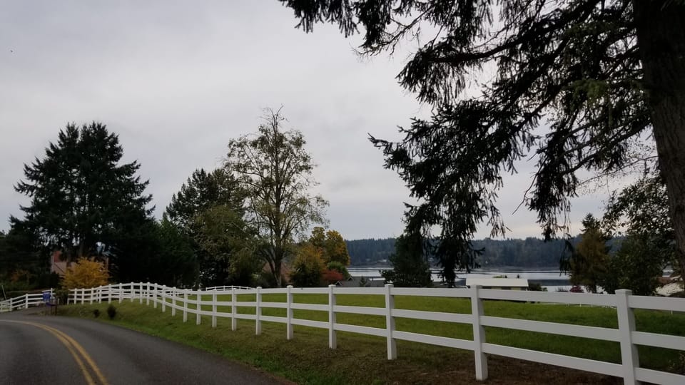 scene from  a stroll on Fishtrap Loop