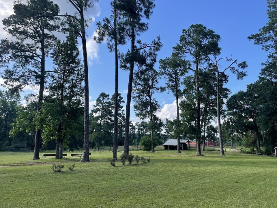 Beautiful views, hiking trail, trees...lots of space for fun or relaxing.
