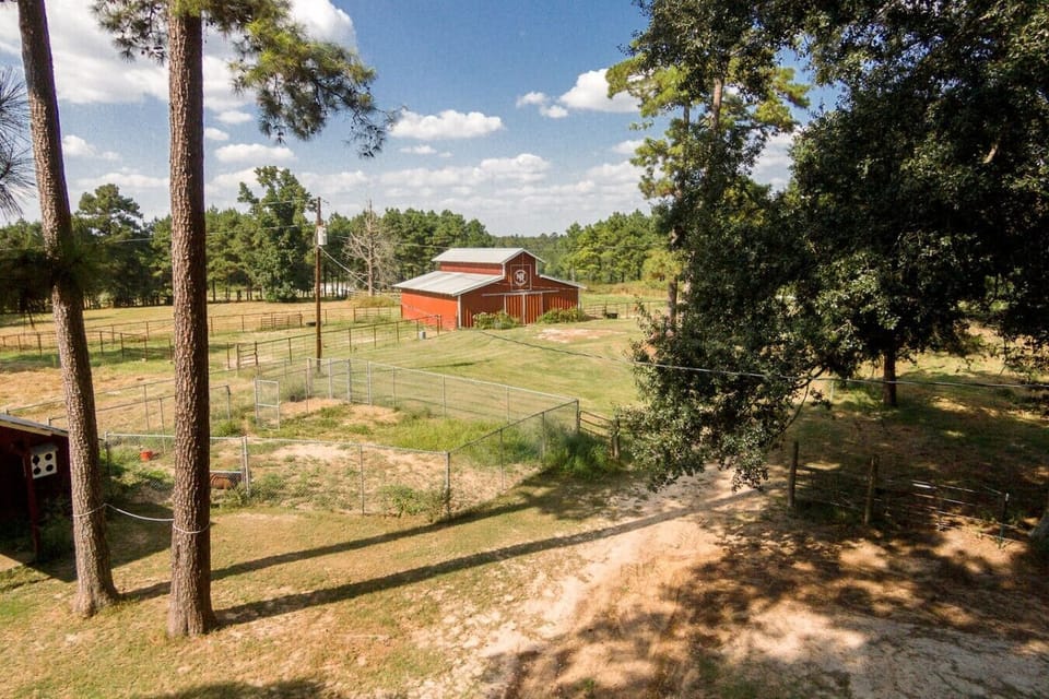 Barn onsite - great views!