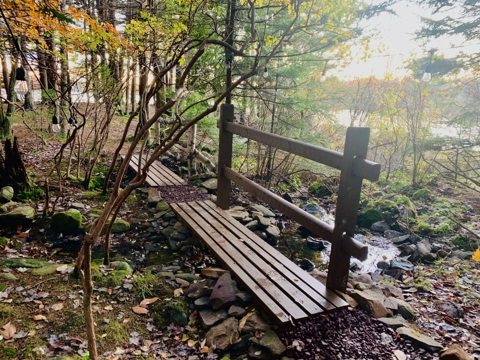 Wooden bridge over our private creek leading to the lake 