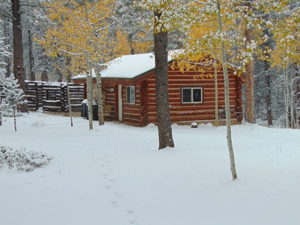 Rustic Colorado Cabin