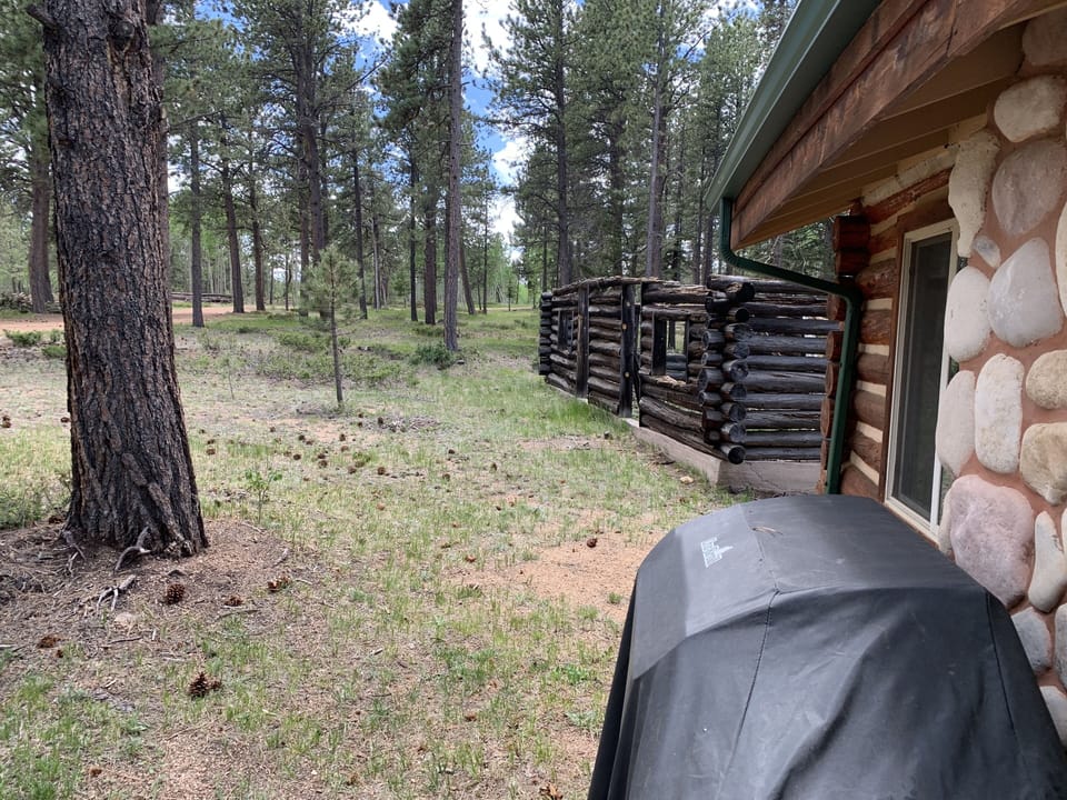 Looking at the cabin shell from the front patio.
