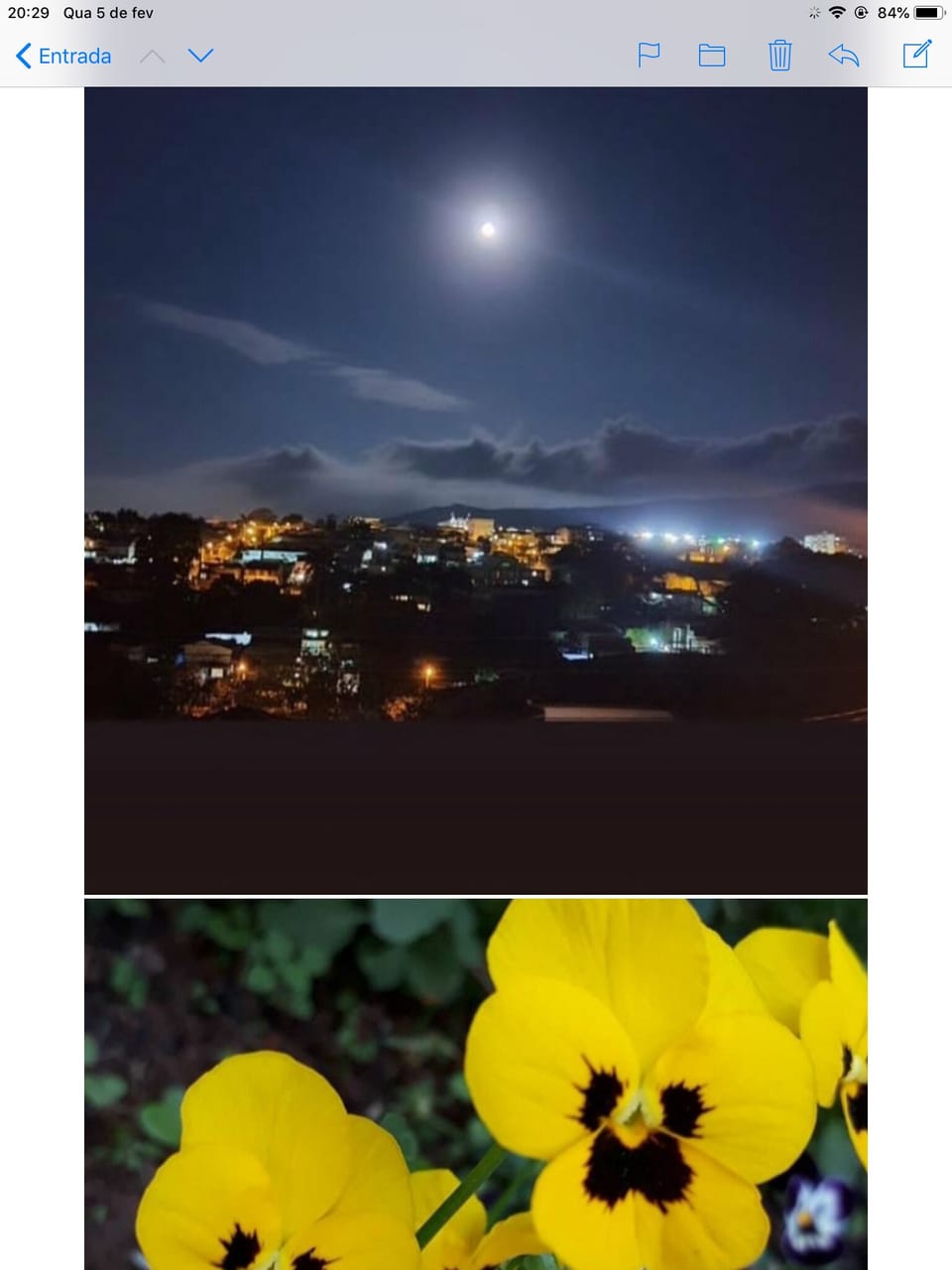 Miscellaneous