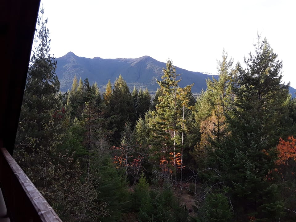 View from game room balcony. (October 2019) 