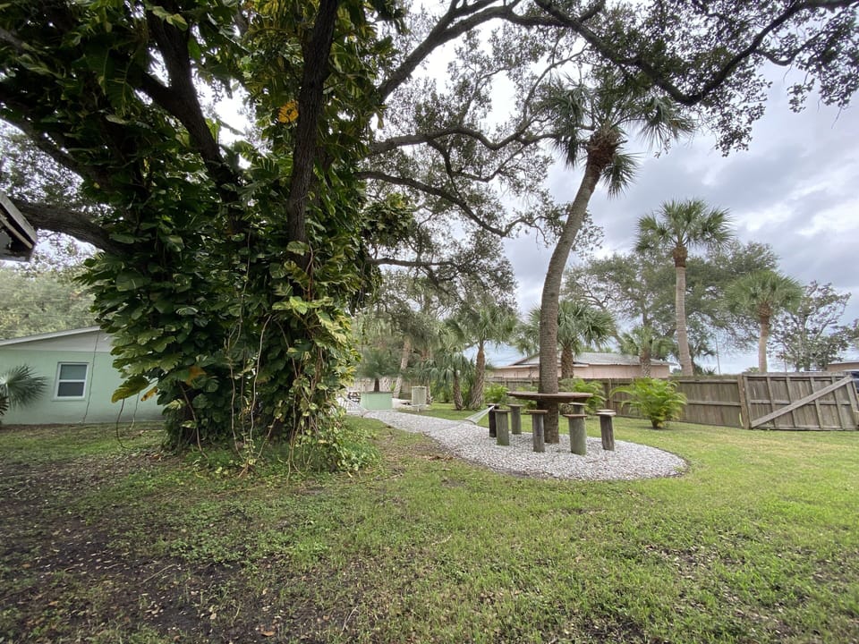 Table and seating around Palm Tree for large gathering.