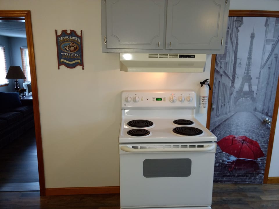 Electric oven
