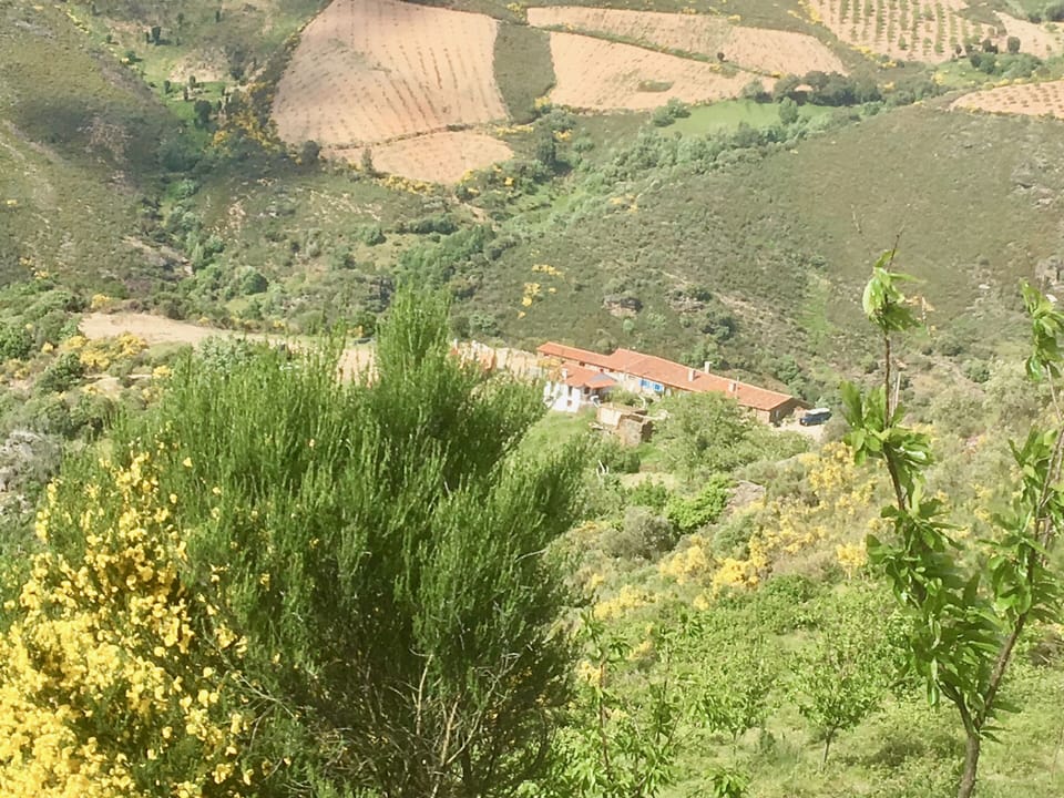 Vista do Mosteirinho (Ninho, Idílio, Fraga, Tia Judite).