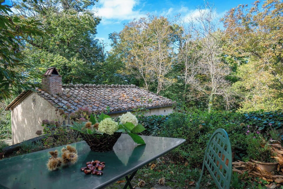 Autumn, Garden, Spring, Summer