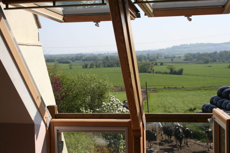 Through the sitting room windows