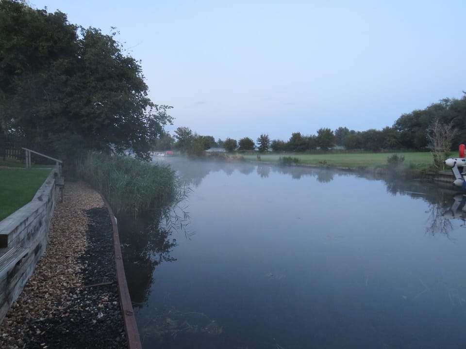 Image 19