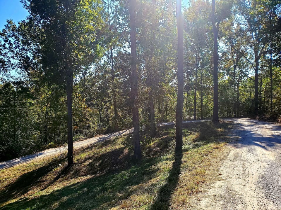 The driveway wraps around tall trees, going up hill, towards your vacation home.
