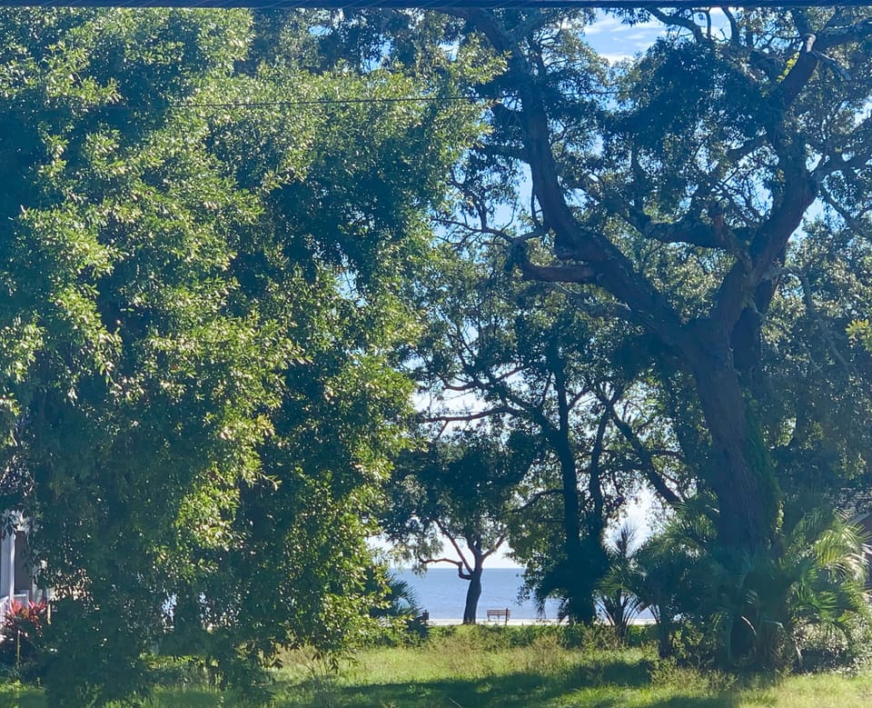 View from the front porch and front yard 