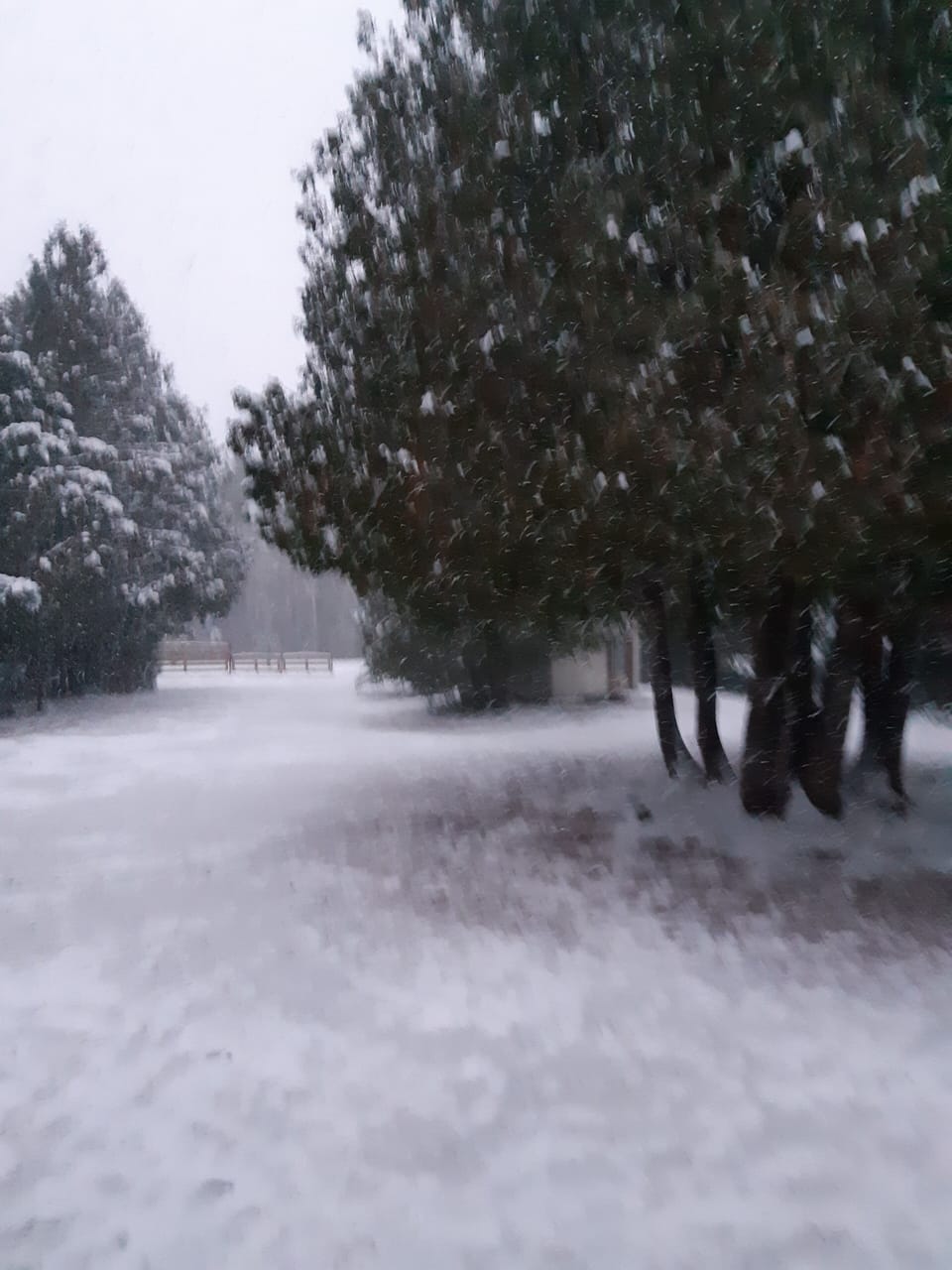 Winter view